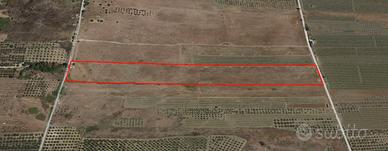 Selinunte Terreno Agricolo In Zona Belice Mare