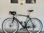 Immagine 6