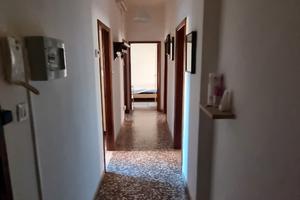 Appartamento Singola + Doppia, via Oroboni