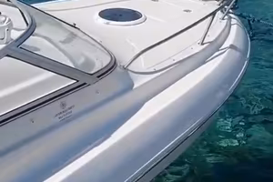 Quicksilver Flamingo 620