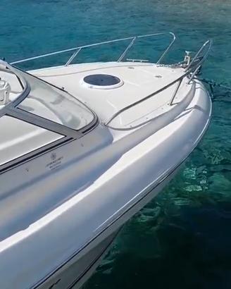 Quicksilver Flamingo 620