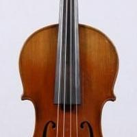 Viola 39,5