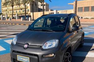 Fiat Panda III 1.0 firefly hybrid City Life s&s 70