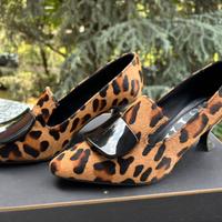 Roberto Festa maculato