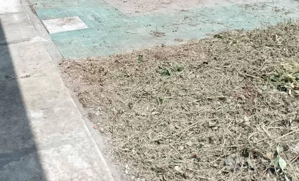 Immobile in asta di 170 m² con più di 5 locali a C - Vista 2