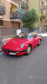 Alfa spider quadrifoglio verde