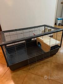 Gabbia per coniglio