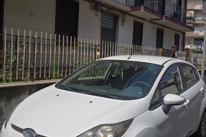 Ford fiesta bianca 1400 gpl