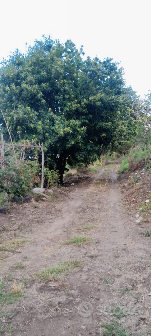 Terreno agricolo - View 4