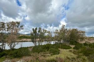 Terreno Agricolo - Alghero