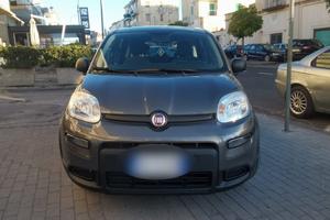 Fiat Panda 1.0 FireFly Hybrid City Life 2022 USATO