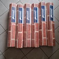 Carta da parati effetto mattoni rossi