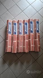 Carta da parati effetto mattoni rossi