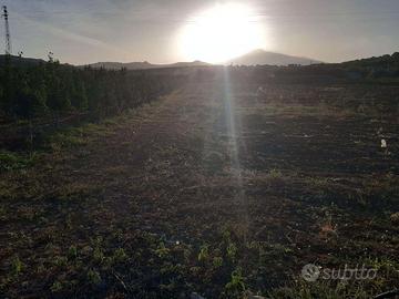 RGE 54/2005 Trib ENNA - LOTTO 2