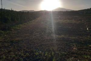 RGE 54/2005 Trib ENNA - LOTTO 2