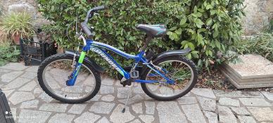 2 bici ,il prezzo è cadauno