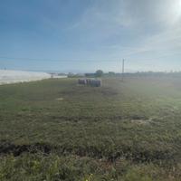 Terreno Borgo Sant'Antonio