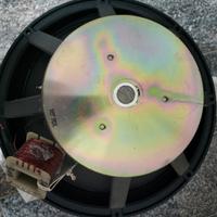 Altoparlante Professionale 300W / 8 Ohm