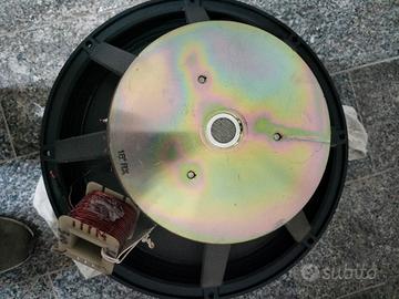 Altoparlante Professionale 300W / 8 Ohm