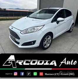 Ford Fiesta 1.5 TDCi 75CV 5 porte Black & White Ed