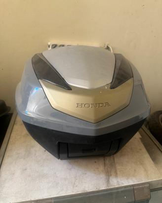 Bauletto sh 300 sport