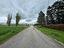 Immagine 15