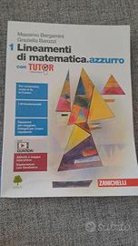 lineamenti di matematica. azzurro con tutor