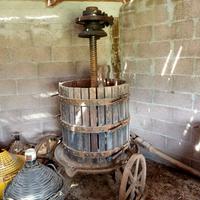Torchio vinicolo