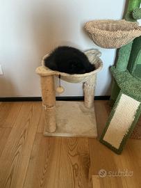 Albero tirograffi per gatti con amaca e palle