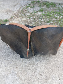 Chaps piu petttorale Billy Cooki