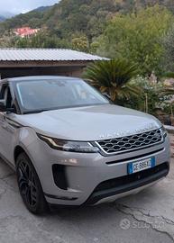 ranger Evoque 