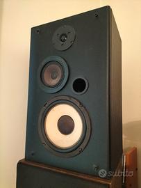 Casse Acustiche 100W