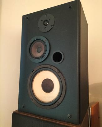 Casse Acustiche 100W