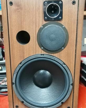 Diffusori Cerwin  Vega! Digital  Series D5-E