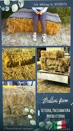 Ballette per pacciamatura o sedute festa