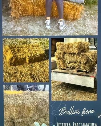 Ballette per pacciamatura o sedute festa