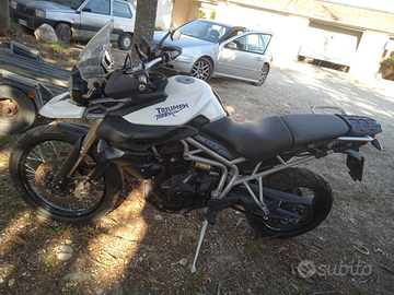 Tiger 800 xc 011 nuova