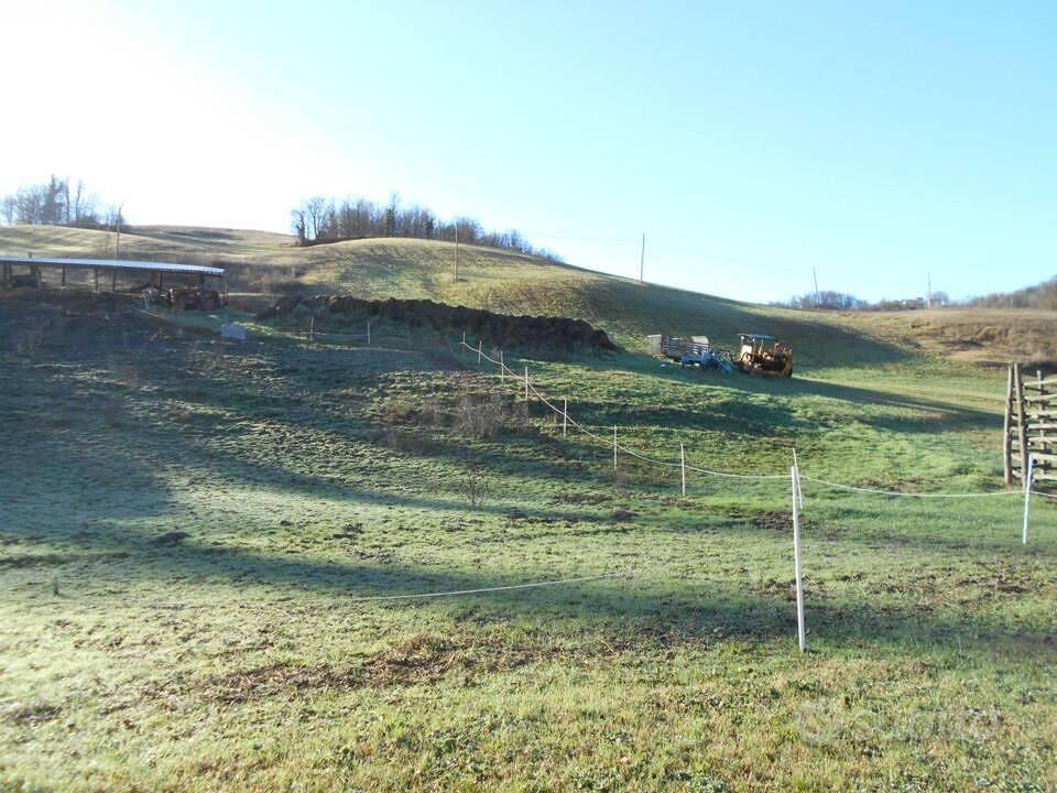 Immobile in asta di 12503 m² a Viano - Vista 3