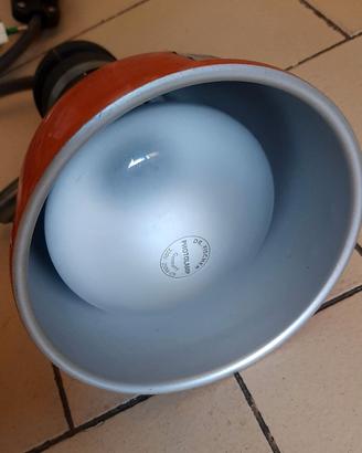 lampada cosmolight rc 50 photoflood