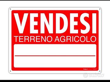 Terreno agricolo E1