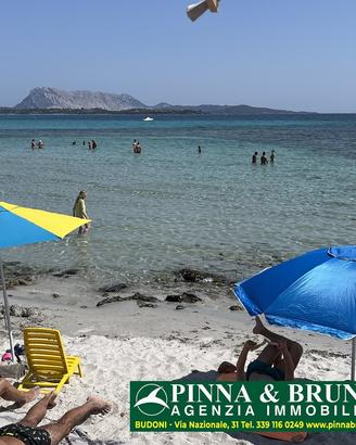 La Cinta - San Teodoro