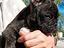 Immagine 5