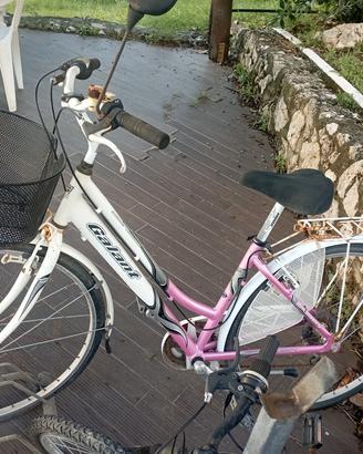 bicicletta Donna Denver Galant in alluminio
