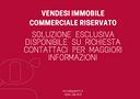 negozio-sirtori-cod-rif-3331761vcg-