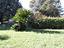 Immagine 29