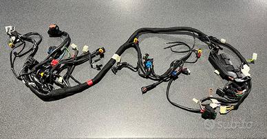 Impianto elettrico principale Griso 1100 1° serie