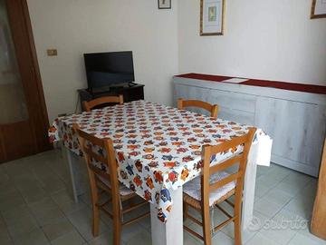 Singola in ampio appartamento