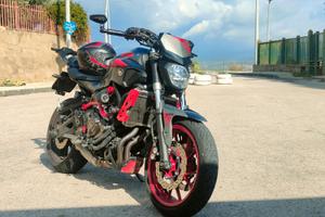 Yamaha MT07 cage