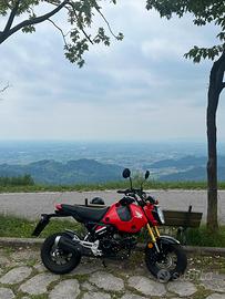 Honda grom 125
