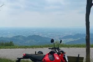 Honda grom 125